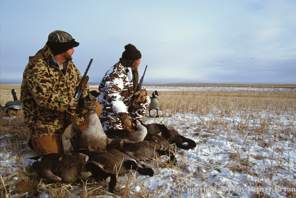 Waterfowl hunters with bagged geese.