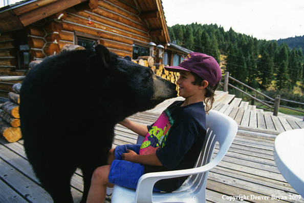 Young Boy with tame Black Bear