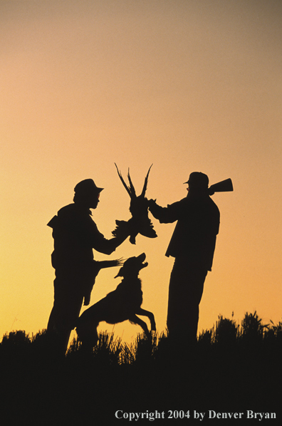 Upland bird hunter pheasants and dog.