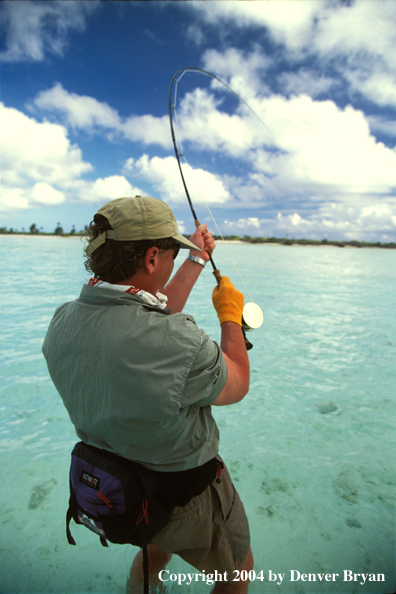 Saltwater flyfisherman fighting fish.