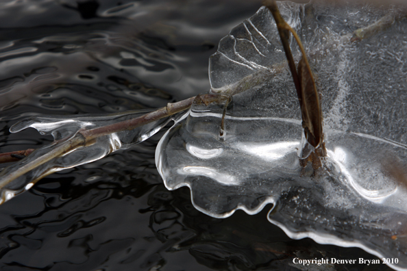 Frozen Stream.