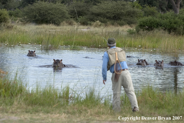 Flyfisherman in Africa with hippos in background.