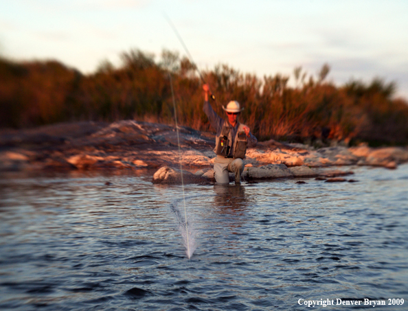 Woman flyfishing