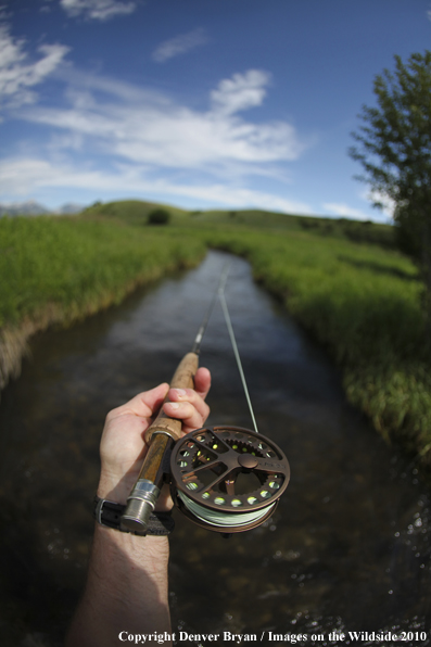 Flyfisherman on small stream