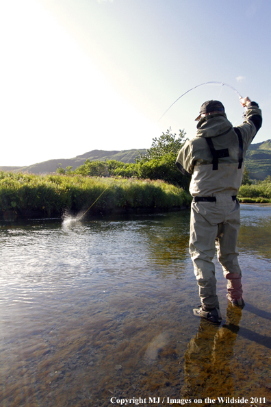 Flyfisherman fighting trout/salmon on Kodiak Island, Alaska. 