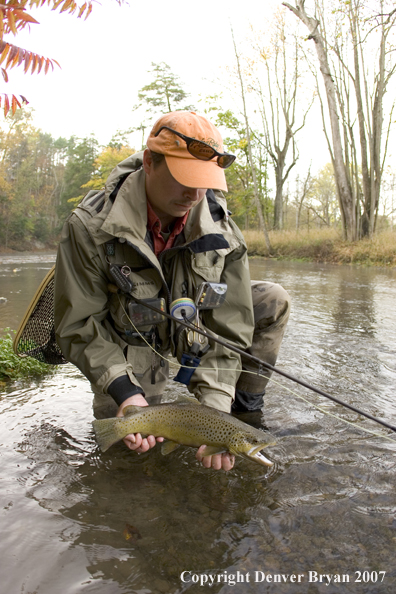 Close-up of nice brown trout.