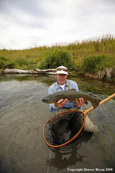 Flyfisherman with brown trout