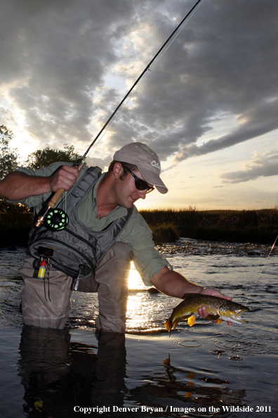 Flyfisherman with Brown Trout (PS)