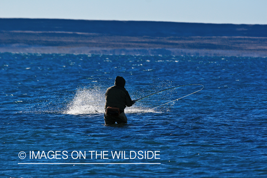 Jurassic Lake flyfisher fighting rainbow trout, Argentina.