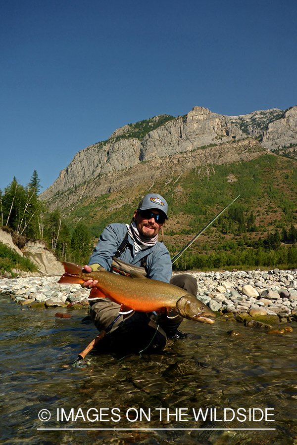 Flyfisherman releasing bull trout.