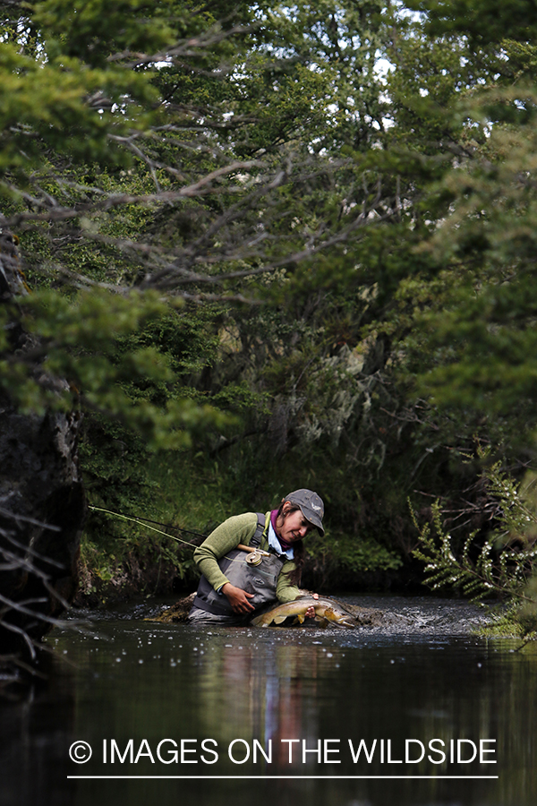 Flyfishing woman releasing brown trout.