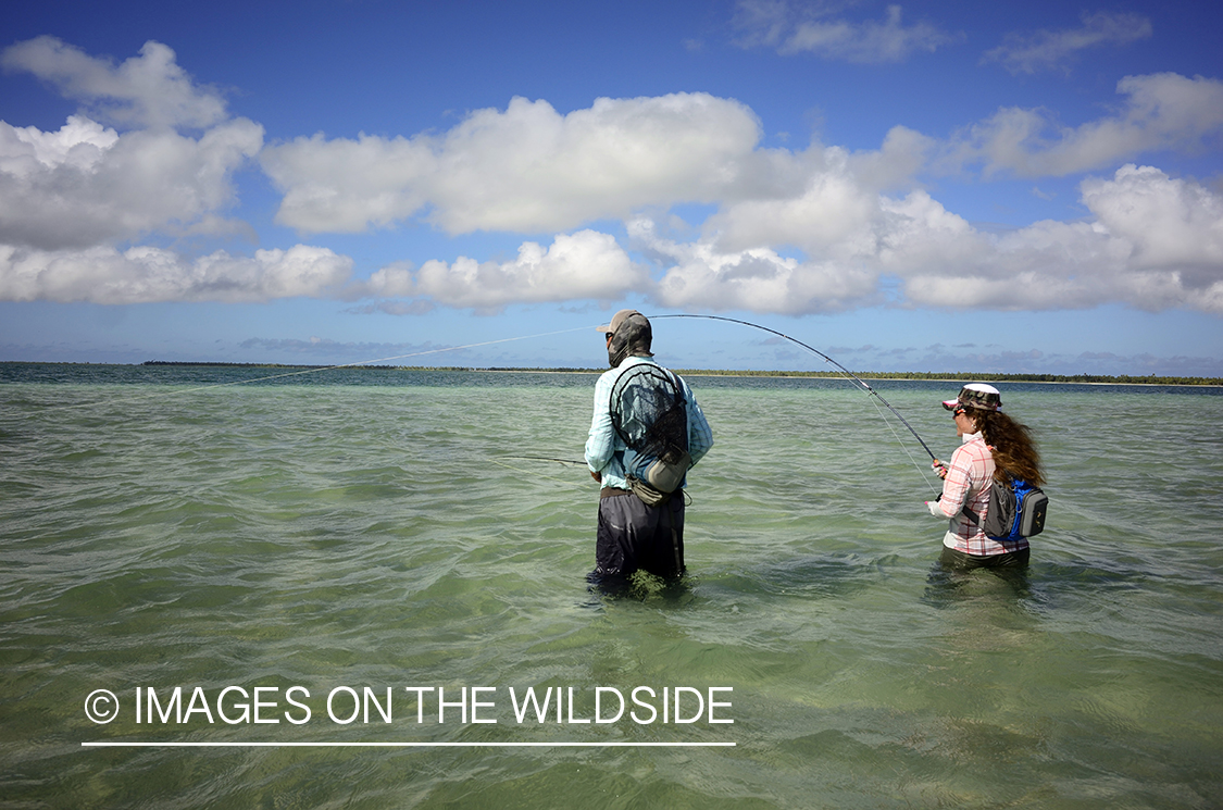 Flyfishing for Peachy Triggerfish on flats.