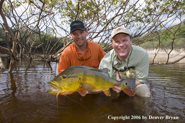 Fisherman holding Peacock Bass