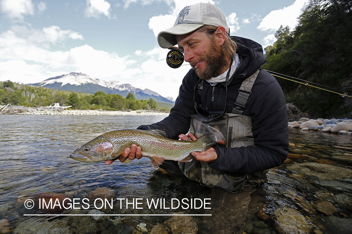 Flyfisherman releasing rainbow trout.