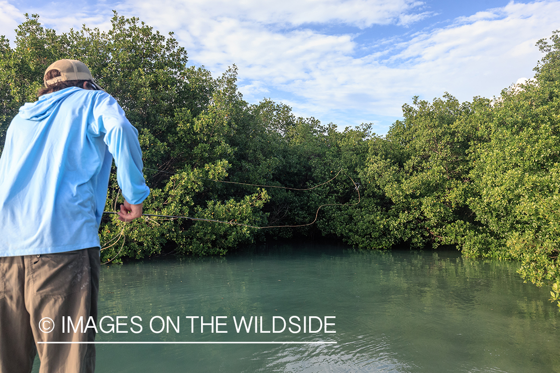 Saltwater flyfishing in Belize.