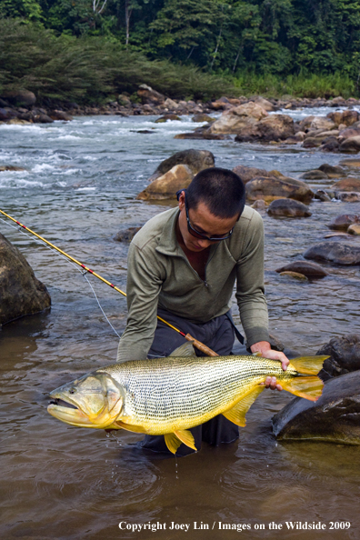 Flyfisherman holding a Golden Dorado