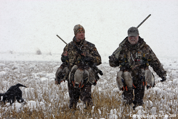 Waterfowl hunters with killed mallard ducks.