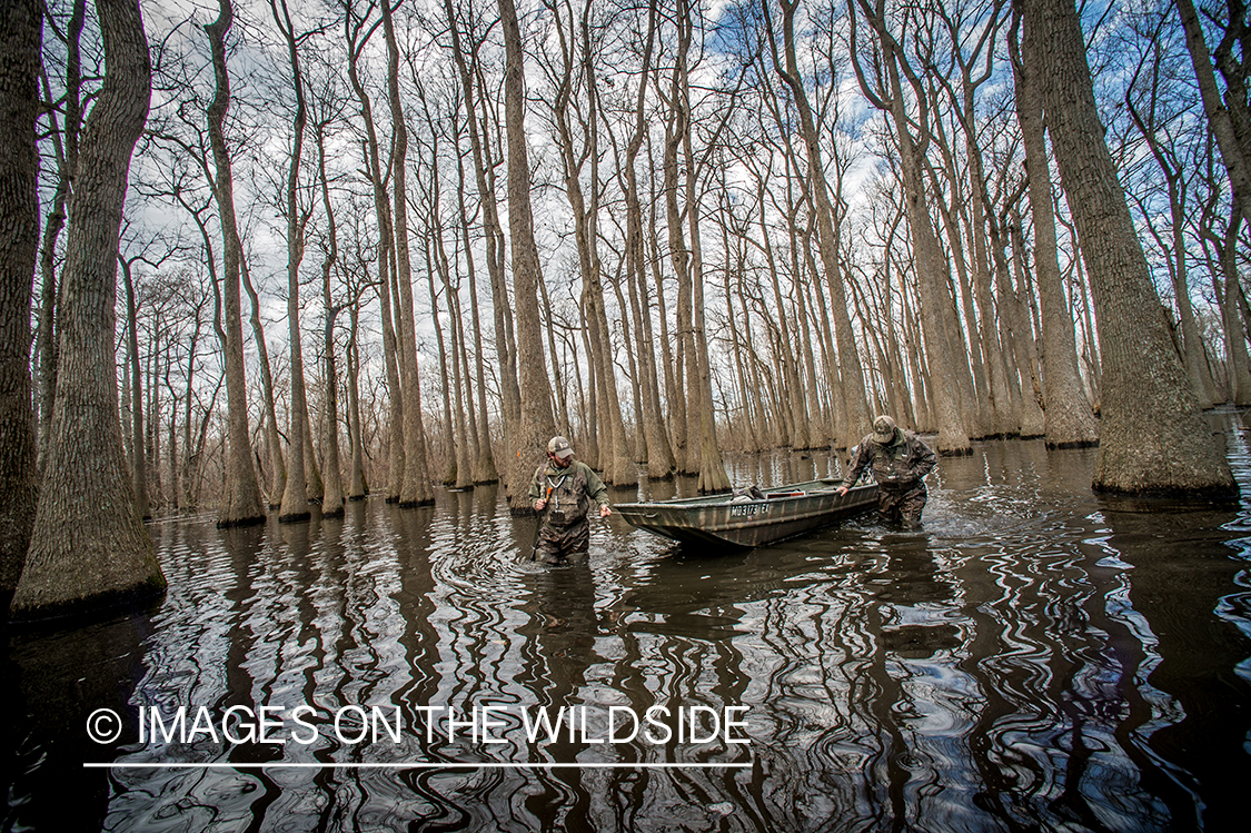 Duck hunters in flooded timber.