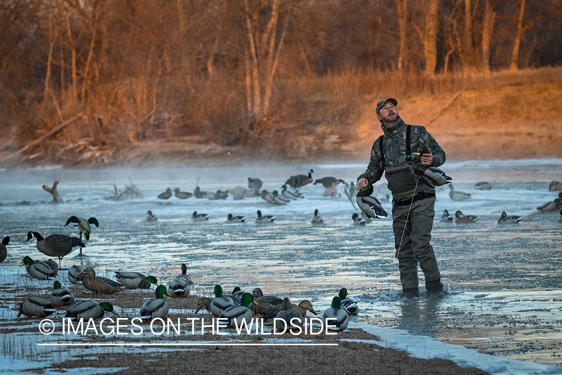 Waterfowl hunting