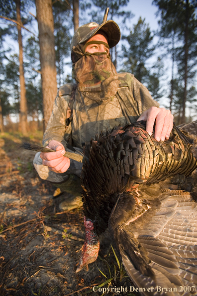 Turkey hunter in field with bagged bird