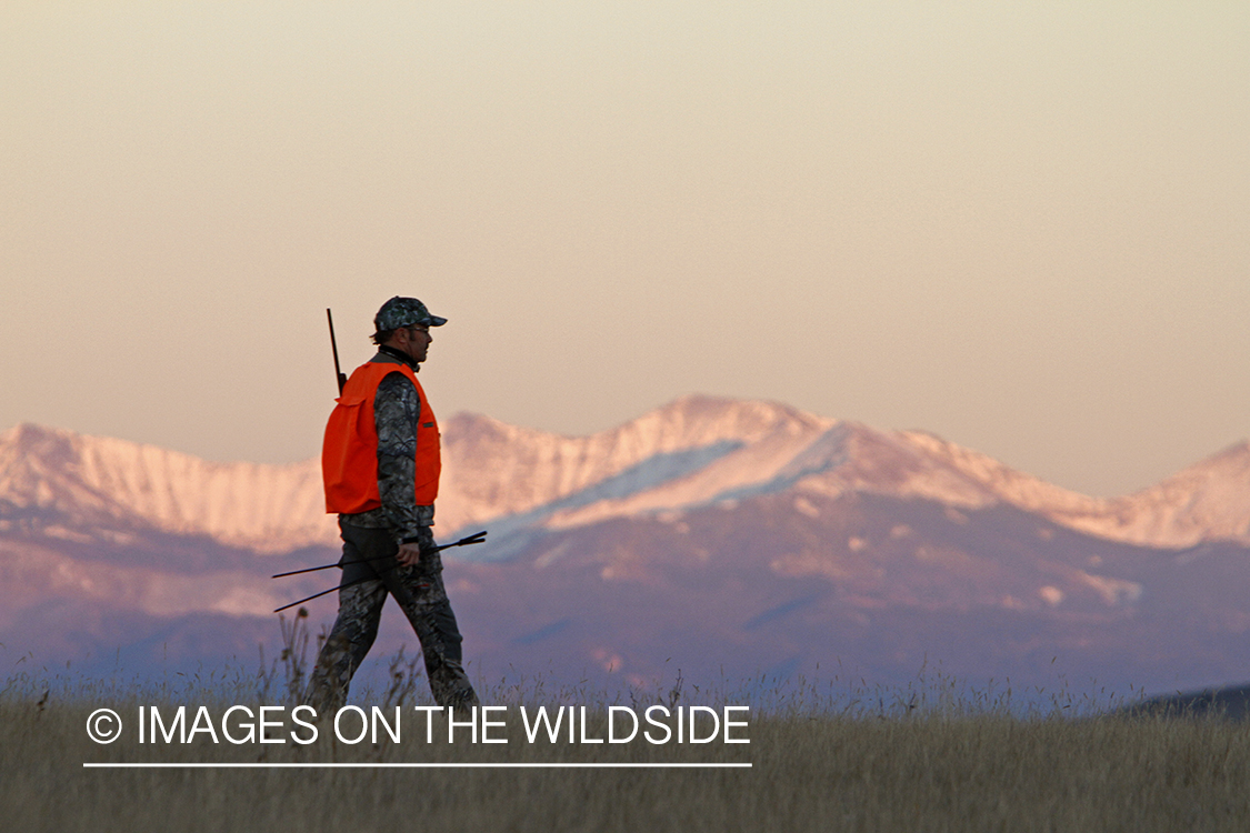 Big game hunter in field. 