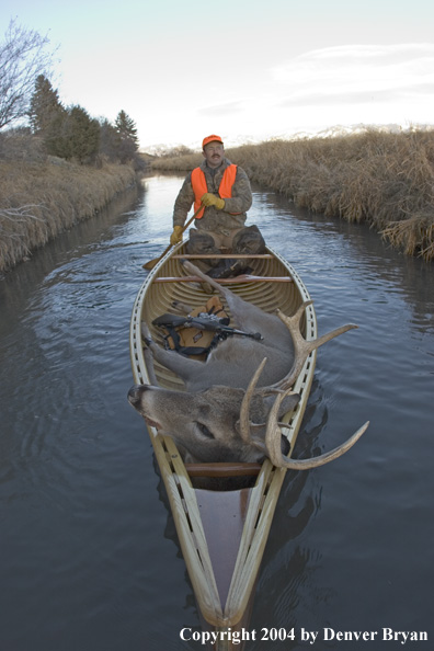 Big game hunter paddling canoe with bagged white-tailed deer in bow.