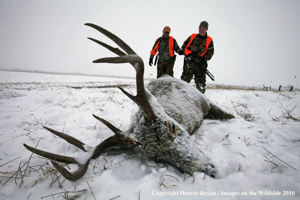 Father and son walking up on son's downed white-tail buck 