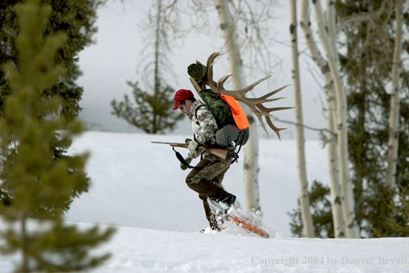 Big game hunter packing elk rack out on snowshoes.