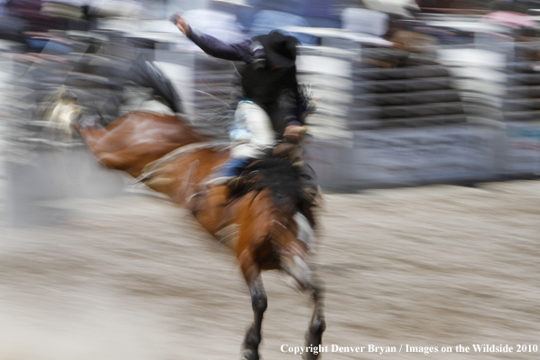 Augusta Rodeo