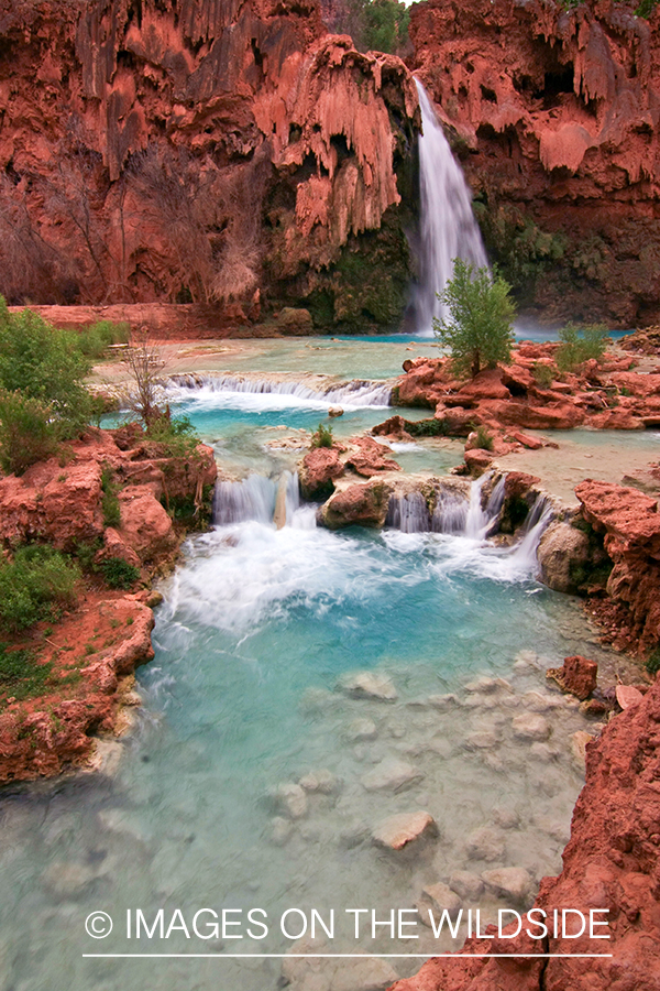 Havasu Falls