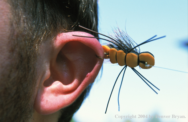 Flyfisherman with fly hooked in his ear.