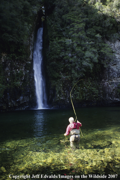 Angler fishing