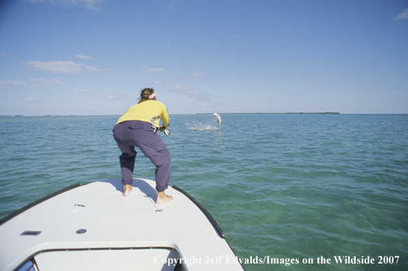 Angler plays a tarpon