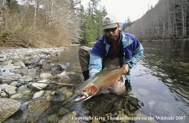 Flyfishing steelhead