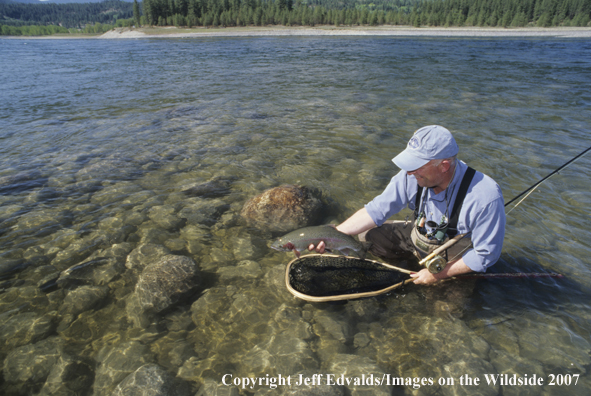 Flyfisherman with a nice Rainbow Trout