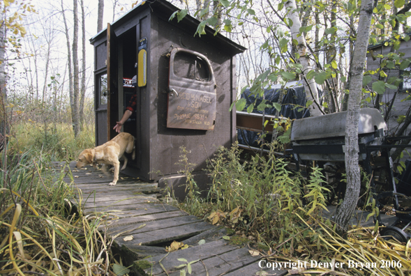 Yellow labrador retriever getting booted out of outhouse by daddy.