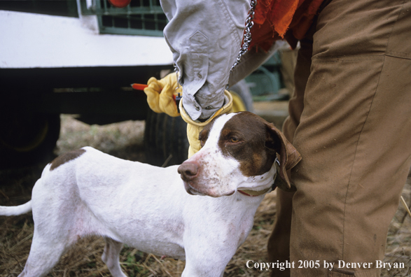 Handler working with english pointer.