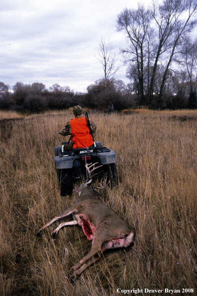 White-tailed deer hunter with downed deer