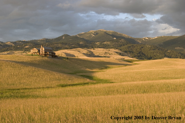 Landscape of Montana fields with a home in the background.