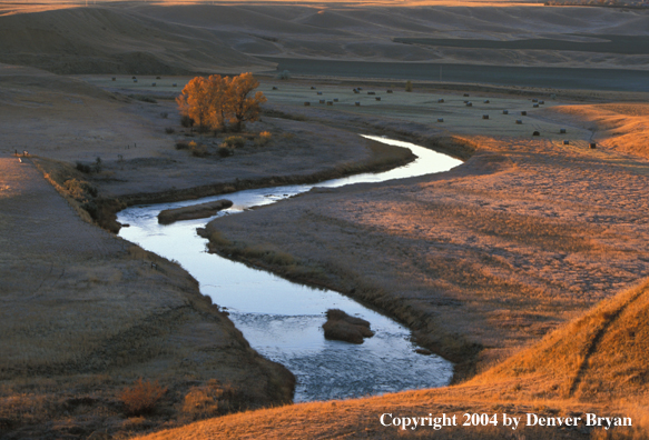 Teton River, Montana