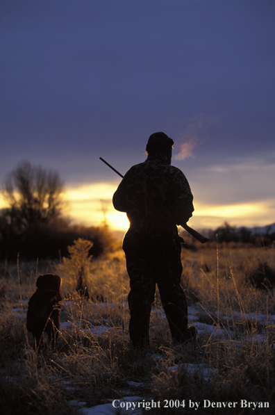 Waterfowl hunter with Lab. 