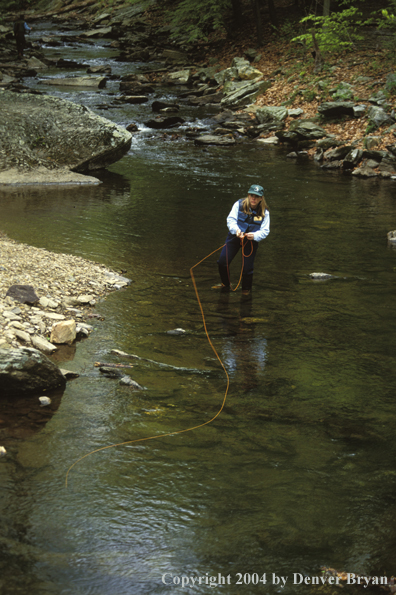 Woman flyfisher fishing stream.