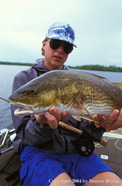 Flyfisherman with redfish.