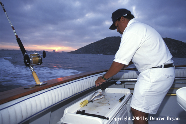 Fishing guide preparing bait.