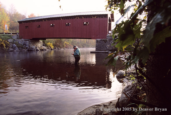 Flyfisherman on autumn colored stream.