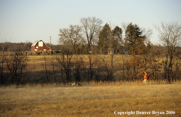 Upland game bird hunter with dog hunting.