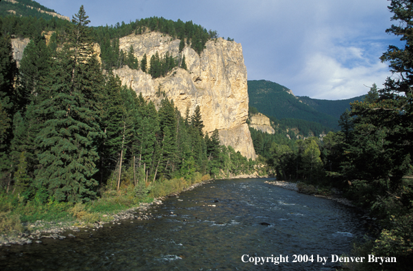 Gallatin River, Montana