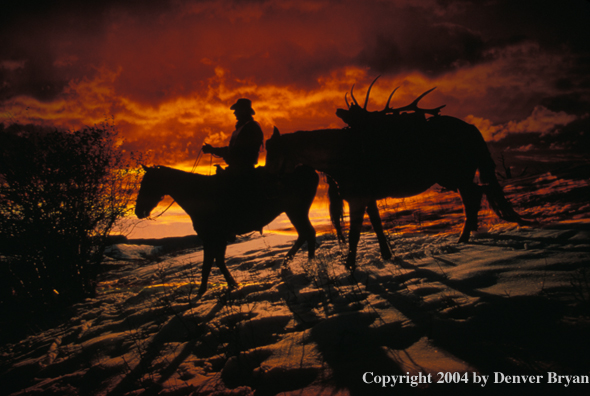 Big game hunter on horseback at sunrise/sunset.