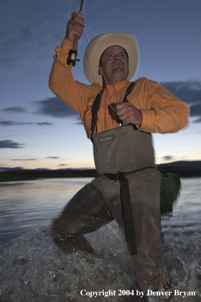 Flyfisherman playing fish at dusk (MR)