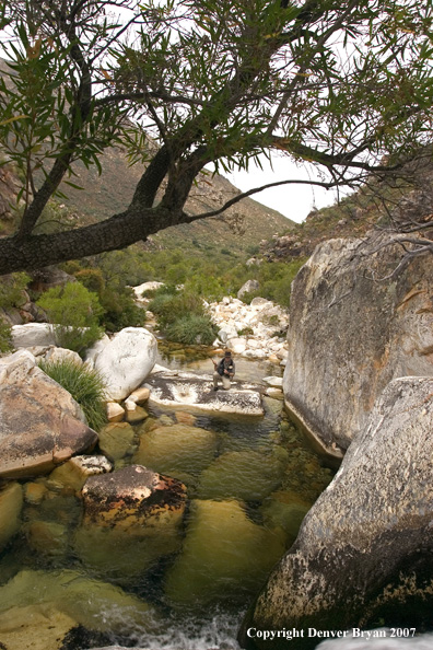 Flyfisherman casting on river.